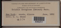Image Associated With the Occurence